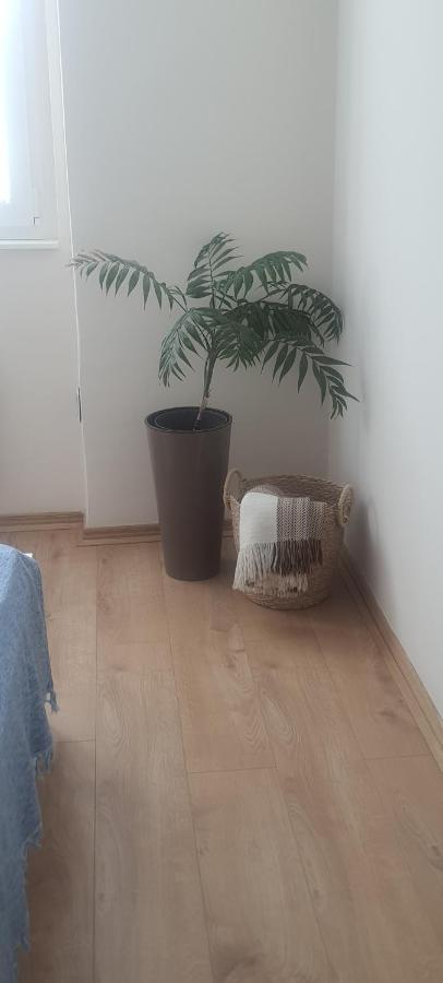 Apartman Taca Суботица Екстериор снимка